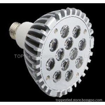 LED Spotlight (TP-S01-012W04)